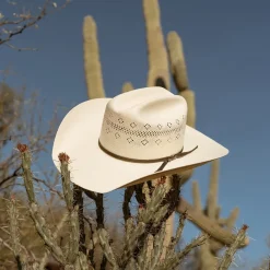 Stetson Baker 10X Straw Cowboy Hat Natural Hot