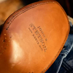 Stetson Falls Alligator Cowboy Boot Black