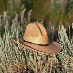 Stetson Bryce Straw Hat Natural