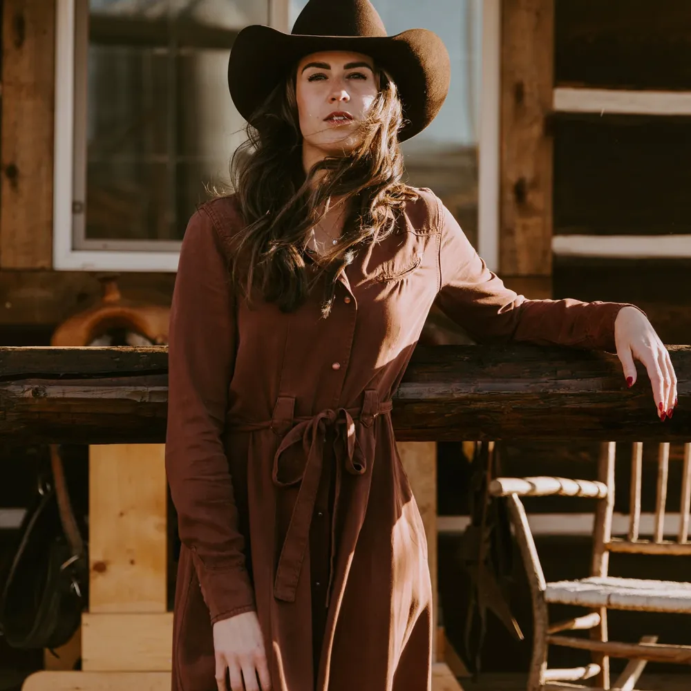 Stetson Tobacco Tencel Western Dress Brown New